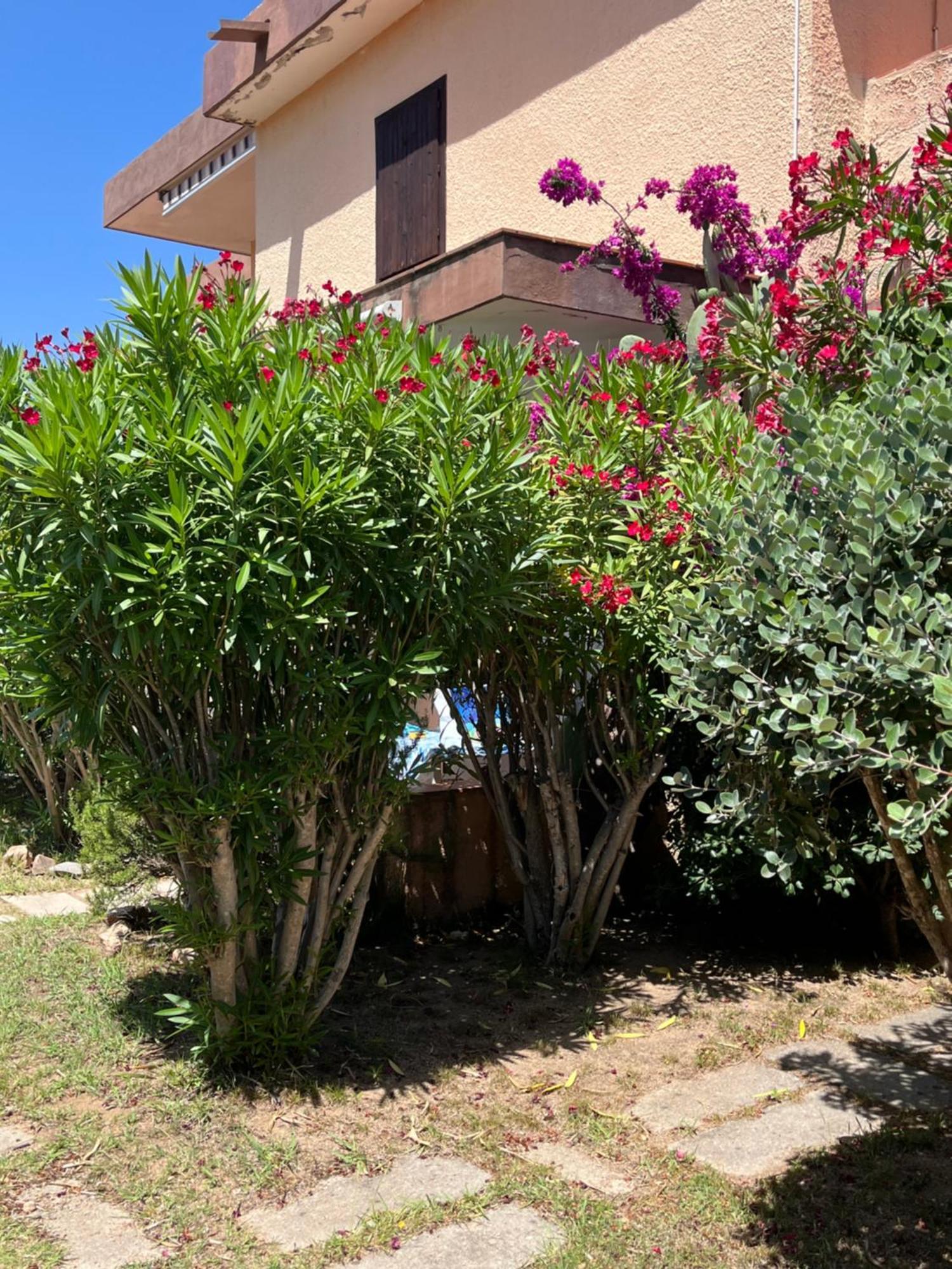 Bilocali Residenza Mediterranea 坎尼吉翁 外观 照片
