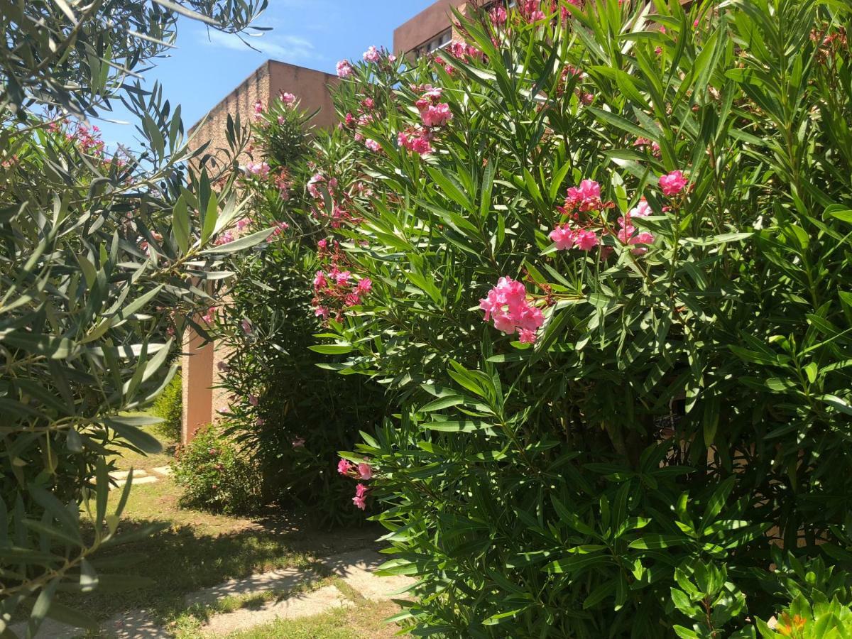 Bilocali Residenza Mediterranea 坎尼吉翁 外观 照片